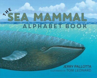 Sea Mammal Alphabet Book цена и информация | Noortekirjandus | kaup24.ee