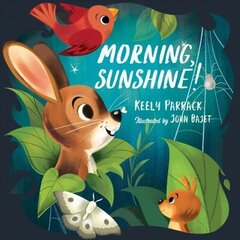 Morning, Sunshine! цена и информация | Книги для малышей | kaup24.ee