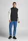 Meeste vest Jack&Jones hind ja info | Meeste vestid | kaup24.ee