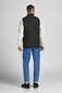 Meeste vest Jack&Jones hind ja info | Meeste vestid | kaup24.ee