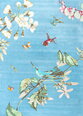 Vaip Wedgwood Hummingbird Blue 037808 170x240 cm