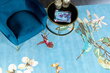 Vaip Wedgwood Hummingbird Blue 037808 200x280 cm hind ja info | Vaibad | kaup24.ee