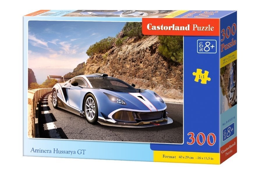 Pusle Castorland Arrinera Hussarya GT, 300-osaline цена и информация | Pusled | kaup24.ee