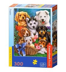 Пазл Puppies, Castorland, 300 шт. цена и информация | Пазлы | kaup24.ee