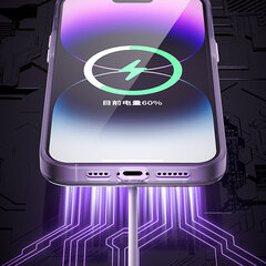 Kingxbar PQY Geek iPhone 14 Pro MagSafe, kuldne цена и информация | Чехлы для телефонов | kaup24.ee