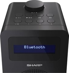 SHARP DR-430 цена и информация | Радиоприемники и будильники | kaup24.ee