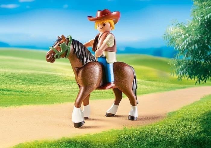 6932 PLAYMOBIL® Riik, vanker цена и информация | Klotsid ja konstruktorid | kaup24.ee