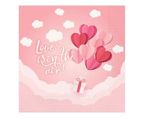 Pabersalvrätikud "Armastust on õhus" 33 x 33 cm, 20 tk (PG-SLR2) 5876 hind ja info | Ühekordsed nõud | kaup24.ee