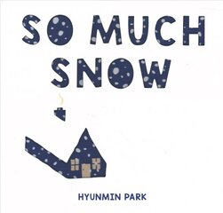 So Much Snow цена и информация | Книги для подростков и молодежи | kaup24.ee