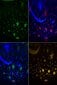 2in1 öölamp/täheprojektor цена и информация | Lastetoa valgustid | kaup24.ee
