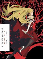 Kizumonogotari: Wound Tale цена и информация | Книги для подростков и молодежи | kaup24.ee