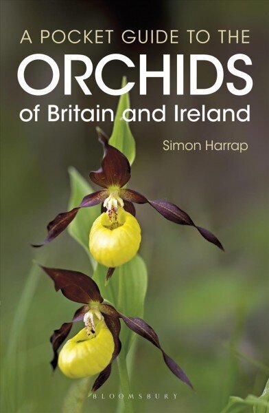 Pocket Guide to the Orchids of Britain and Ireland цена и информация | Laste õpikud | kaup24.ee