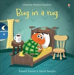 Bug in a Rug UK hind ja info | Väikelaste raamatud | kaup24.ee
