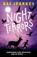 Night Terrors hind ja info | Noortekirjandus | kaup24.ee