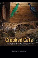 Crooked Cats: Beastly Encounters in the Anthropocene hind ja info | Ajalooraamatud | kaup24.ee