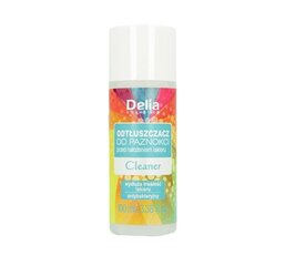 Küünelakieemaldaja Delia Nail degreaser Cleaner, 100ml цена и информация | Лаки для ногтей, укрепители для ногтей | kaup24.ee