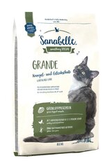 Kassitoit Sanabelle Grande 10kg hind ja info | Kuivtoit kassidele | kaup24.ee