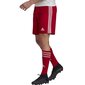 Meeste lühikesed spordipüksid Adidas Squadra 21 Short M, punased hind ja info | Meeste spordiriided | kaup24.ee