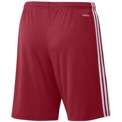 Мужские спортивные шорты Adidas Squadra 21 Short M, красные цена и информация | Мужская спортивная одежда | kaup24.ee