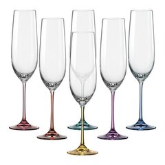 Šampanjapokaalid Spectrum, 190 ml hind ja info | Klaasid, tassid ja kannud | kaup24.ee