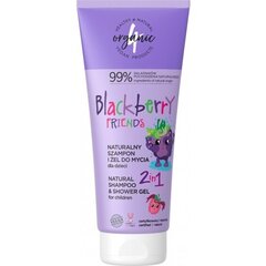 Šampoon ja pesugeel lastele 2in1 Blackberry Friends 4organic, 200ml hind ja info | Laste ja ema kosmeetika | kaup24.ee