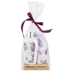 Komplekt Bohemia Lavender: vedelseep, 300 ml + kehapiim, 250 ml + seep, 100 g цена и информация | Мыло | kaup24.ee