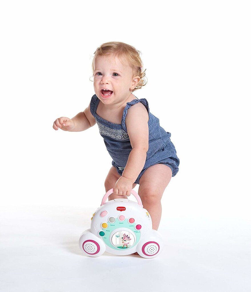 Muusikaline karussell Tiny Love Tiny Princess hind ja info | Imikute mänguasjad | kaup24.ee
