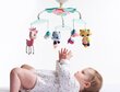 Muusikaline karussell Tiny Love Tiny Princess hind ja info | Imikute mänguasjad | kaup24.ee