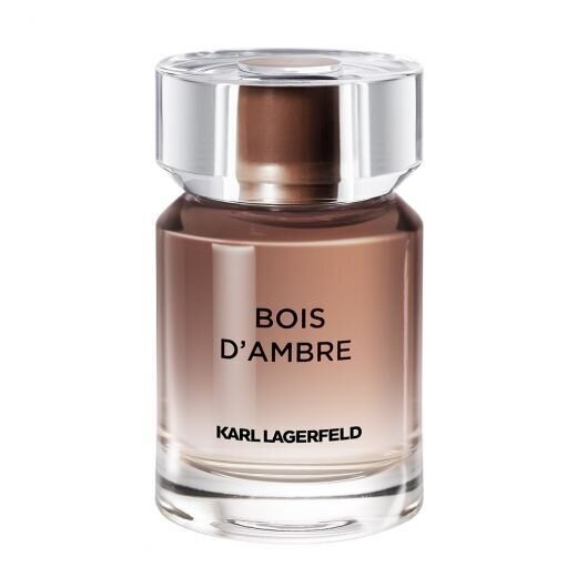 Karl Lagerfeld Bois d'Ambre EDT 50 ml цена и информация | Meeste parfüümid | kaup24.ee