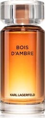 Karl Lagerfeld Bois d'Ambre EDT 100ml цена и информация | Мужские духи | kaup24.ee