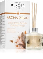 Maison Berger Paris Диффузор Aroma Dream Fine Amber Delicate Amber 180 мл цена и информация | Ароматы для дома | kaup24.ee