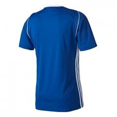 Футболка для мальчиков Adidas, синяя цена и информация | Рубашки для мальчиков | kaup24.ee