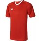 T-särk poistele Adidas Tiro 17, punane hind ja info | Poiste särgid | kaup24.ee