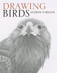Drawing Birds hind ja info | Kunstiraamatud | kaup24.ee