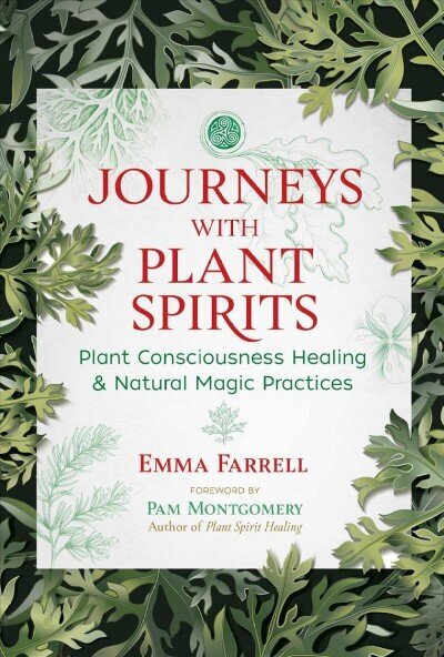 Journeys with Plant Spirits: Plant Consciousness Healing and Natural Magic Practices цена и информация | Eneseabiraamatud | kaup24.ee