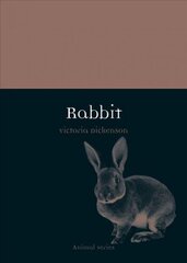 Rabbit цена и информация | Книги о питании и здоровом образе жизни | kaup24.ee