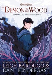 Demon in the Wood Graphic Novel цена и информация | Книги для подростков и молодежи | kaup24.ee