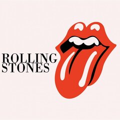 Maalimiskomplekt numbrite järgi The Rolling Stones 40x40 hind ja info | Maalid numbri järgi | kaup24.ee