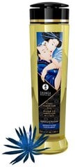 Massaažiõli Shunga Seduction Midnight Flower, 240 ml hind ja info | Massaažiõlid | kaup24.ee