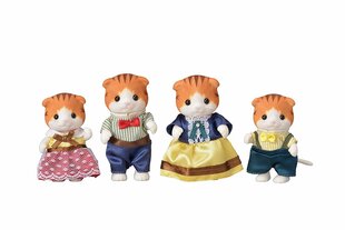 SYLVANIAN FAMILIES Семейка Мраморной кошки цена и информация | Игрушки для девочек | kaup24.ee