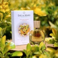 Maison de Mars Парфюмерная вода Eau de Mars Petillante Aurore - Парфюмерная вода 30 мл цена и информация | Женские духи | kaup24.ee