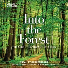 Into the Forest: The Secret Language of Trees hind ja info | Fotograafia raamatud | kaup24.ee