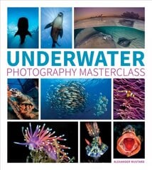 Underwater Photography Masterclass цена и информация | Книги по фотографии | kaup24.ee