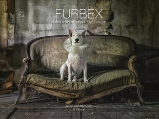 Furbex: A Dog's Life of Urban Exploration None ed. цена и информация | Книги по фотографии | kaup24.ee