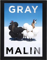 Gray Malin: The Essential Collection цена и информация | Книги по фотографии | kaup24.ee