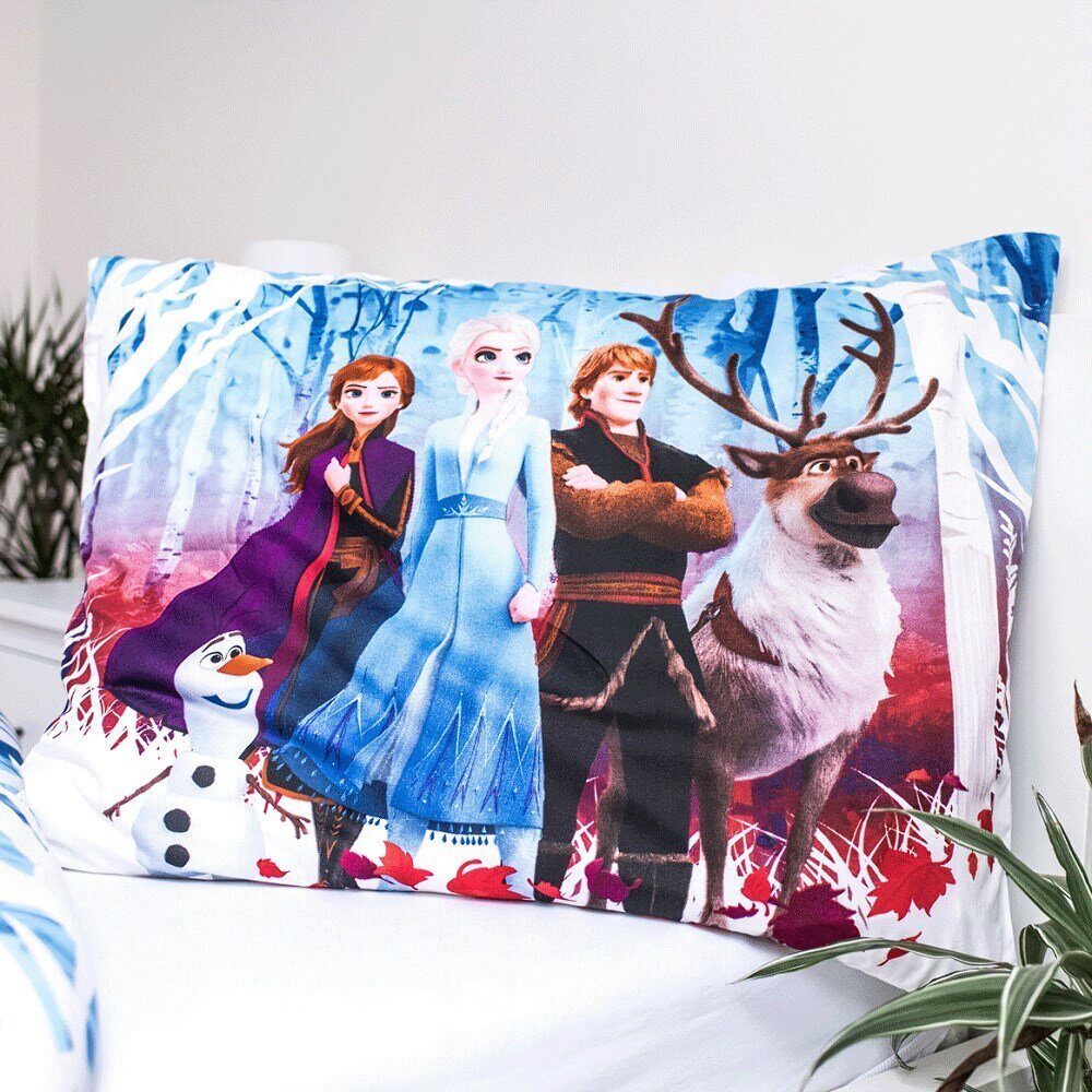 Laste voodipesu 140x200 Frozen Anna Elsa hind ja info | Voodipesukomplektid | kaup24.ee