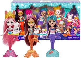 Mattel - Royal Enchantimals Ocean Kingdom Mermaid Crew Dolls цена и информация | MUST Металлическая бутылочка с Ярким рисунком (без BPA) (500ml) для мальчиков от 3+ лет Серая с Машинкой | kaup24.ee