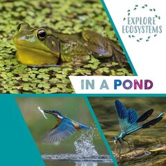 Explore Ecosystems: In a Pond Illustrated edition hind ja info | Noortekirjandus | kaup24.ee