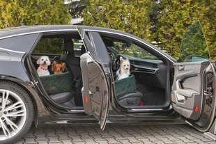 Amibelle autopesa lemmikloomadele, roheline, 25 cm x 50 cm hind ja info | Reisimise tarvikud | kaup24.ee