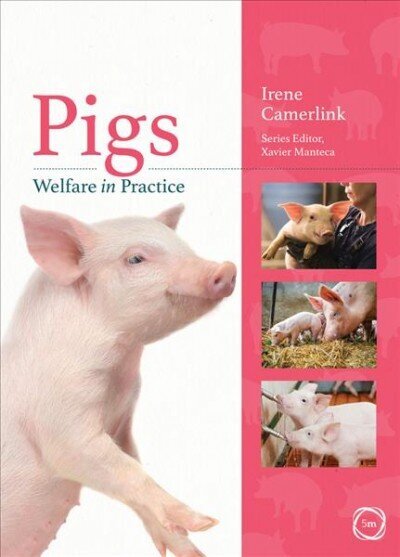 Pigs Welfare in Practice цена и информация | Tervislik eluviis ja toitumine | kaup24.ee